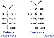 Медицинская энциклопедия - полисахариды